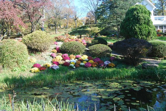 Button showing Seamon Park photo from TripAdvisor.  Links to the Seamon Park page.