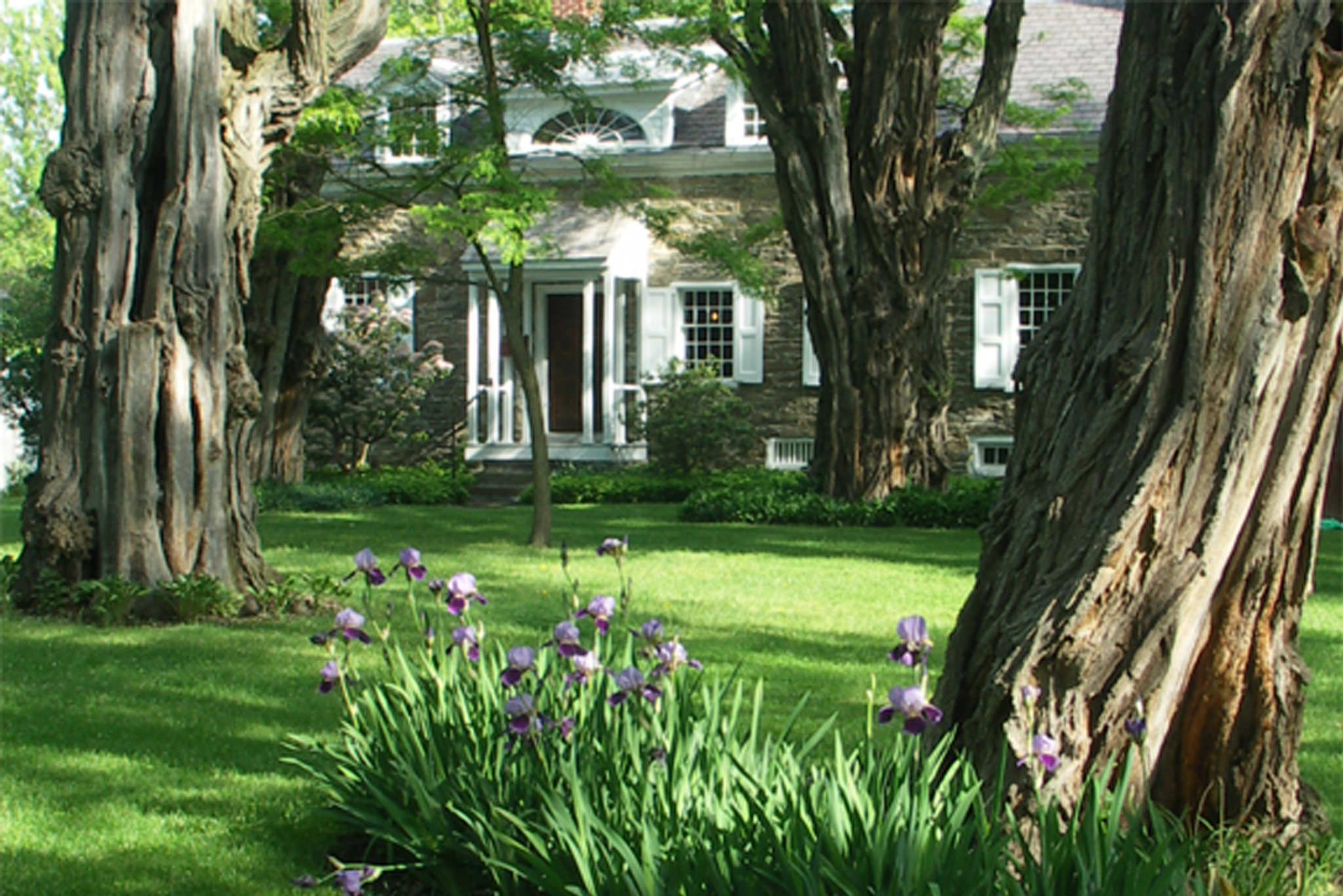 Kiersted House - Nancy Campbell.jpg